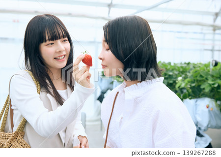 A young woman smiles as she offers strawberries to her friend in a strawberry-picking greenhouse - enjoying spring leisure with her female friends. 139267288