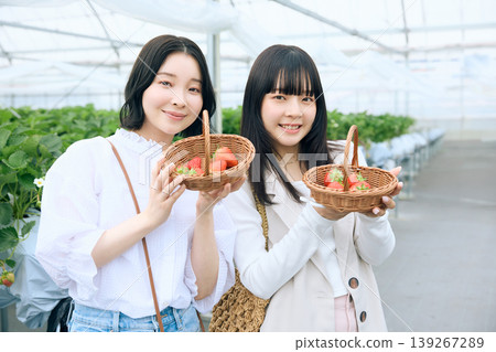 Two young women enjoying strawberry picking - one friend smiling and holding a basket of freshly picked strawberries in a greenhouse. 139267289