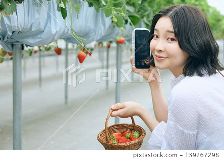 A young woman taking photos with her smartphone at a strawberry picking greenhouse; a smiling Japanese woman holding a basket of strawberries. 139267298