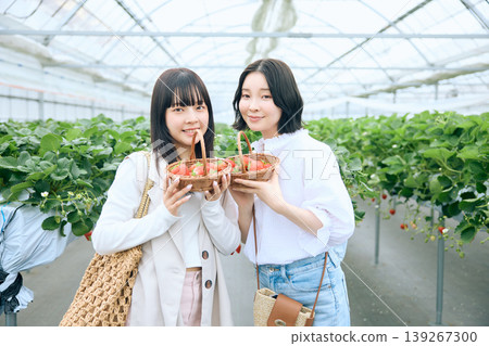 兩位年輕女子正在享受採摘草莓的樂趣；朋友們在溫室裡笑容滿面，手裡拿著新鮮採摘的草莓——這是一項春季休閒活動。 139267300