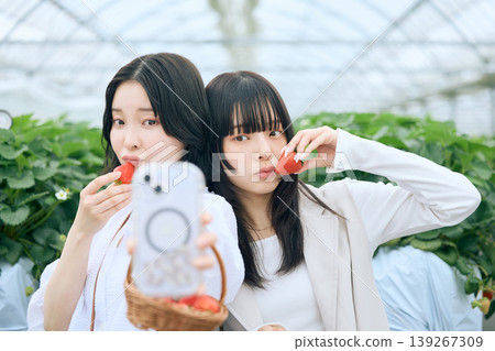 Two young women taking selfies with their smartphones while holding strawberries in a strawberry-picking greenhouse – a holiday outing for friends. 139267309