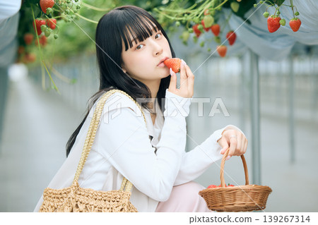 A young woman enjoys eating freshly picked strawberries at a strawberry picking farm – a spring leisure activity enjoyed at a tourist farm in a greenhouse. A young woman enjoys eating freshly picked strawberries at a strawberry picking farm – a spring leisure activity enjoyed at a tourist farm in a greenhouse. 139267314