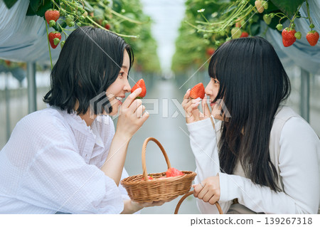 Two young women enjoying strawberry picking; friends smiling and facing each other, holding strawberries grown in a greenhouse. 139267318