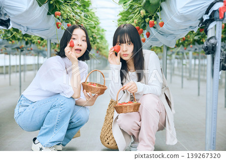 Two young women enjoying strawberry picking; friends posing with strawberries in a greenhouse – a spring leisure activity. Two young women enjoying strawberry picking; friends posing with strawberries in a greenhouse – a spring leisure activity. 139267320