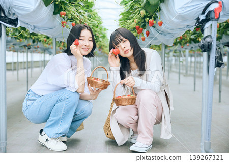 兩位年輕女子正享受著採摘草莓的樂趣；朋友們面帶笑容地擺姿勢，手裡拿著溫室裡種植的草莓。 139267321