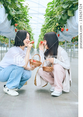 兩名年輕女子正在享受採摘草莓的樂趣；笑容滿面的朋友們在溫室裡吃草莓。 139267324