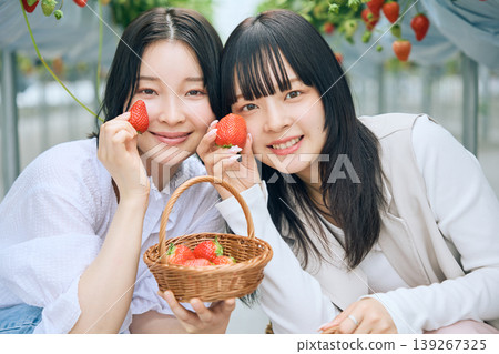 兩位年輕女子正享受著採摘草莓的樂趣;她們在溫室裡手持新鮮採摘的草莓,笑容燦爛地合照。 兩位年輕女子正享受著採摘草莓的樂趣;她們在溫室裡手持新鮮採摘的草莓,笑容燦爛地合照。 139267325