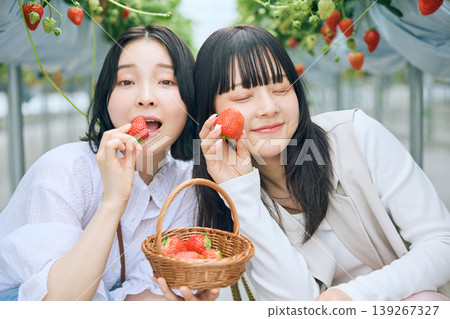 兩名年輕女子正在享受採摘草莓的樂趣;朋友們在溫室裡笑著吃著新鮮採摘的草莓。 兩名年輕女子正在享受採摘草莓的樂趣;朋友們在溫室裡笑著吃著新鮮採摘的草莓。 139267327