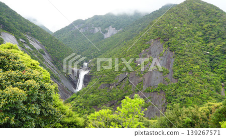 屋久島千尋瀑布 139267571