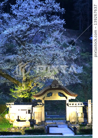 朝倉遺跡:唐門與日落櫻花,戰國時代 朝倉遺跡:唐門與日落櫻花,戰國時代 139267637