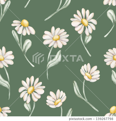 Cute Daisy Chamomile Flowers Seamless Pattern. Wildflowers Watercolor summer spring floral illustration hand painted isolated on green background for nursery baby kids design fresh fabrics textile Cute Daisy Chamomile Flowers Seamless Pattern. Wildflowers Watercolor summer spring floral illustration hand painted isolated on green background for nursery baby kids design fresh fabrics textile 139267798