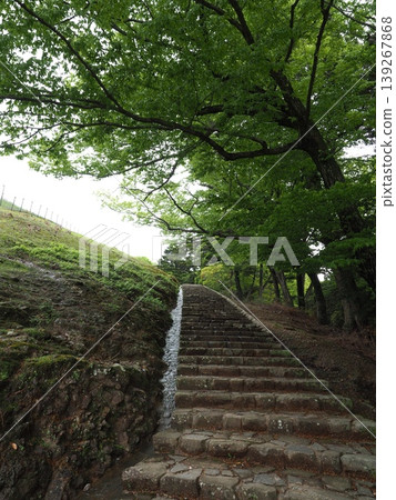 Enjoy breathtaking views of the ancient capital from your own two feet. The charming stone staircase route of the southern climbing trail of Mt. Wakakusa. Enjoy breathtaking views of the ancient capital from your own two feet. The charming stone staircase route of the southern climbing trail of Mt. Wakakusa. 139267868
