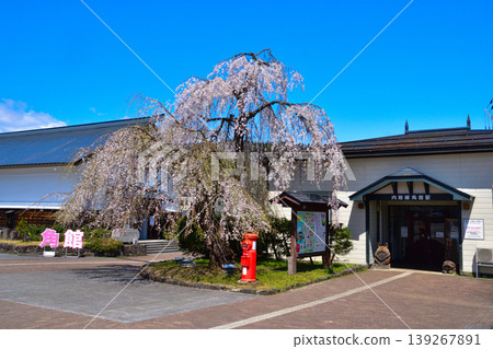 Spring, cherry blossoms, Kakunodate Station, Akita Inland Railway Spring, cherry blossoms, Kakunodate Station, Akita Inland Railway 139267891