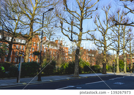 Tree lined street with buildings in London United Kingdom. 139267973