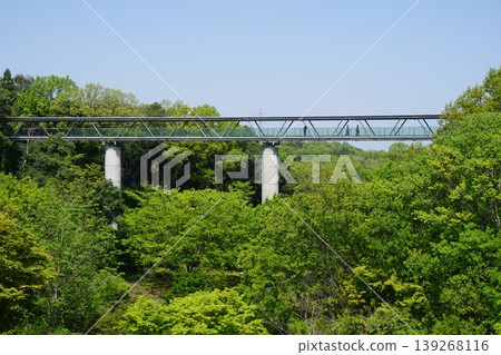 Tottori Flower Corridor, one of Japan's largest flower parks: A truss bridge that forms part of the corridor. Tottori Flower Corridor, one of Japan's largest flower parks: A truss bridge that forms part of the corridor. 139268116