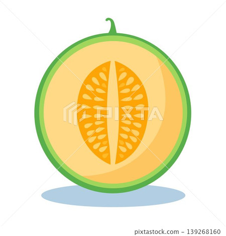 Half cantaloupe melon with visible seeds and rind food group cantaloupe illustration isolated nutrition refreshing botanical Half cantaloupe melon with visible seeds and rind food group cantaloupe illustration isolated nutrition refreshing botanical 139268160