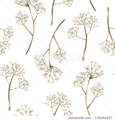 Gypsophila flowers Seamless Pattern. Baby's breath Watercolor hand drawn floral illustration isolated on white background for Easter holiday spring design home textile fresh fabric print crockery 139268247