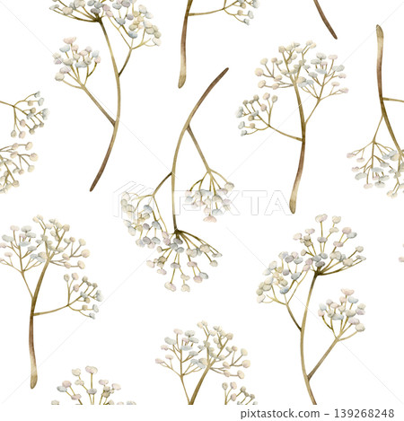 Gypsophila flowers Seamless Pattern. Baby's breath Watercolor hand drawn floral illustration isolated on white background for Easter holiday spring design home textile fresh fabric print crockery Gypsophila flowers Seamless Pattern. Baby's breath Watercolor hand drawn floral illustration isolated on white background for Easter holiday spring design home textile fresh fabric print crockery 139268248