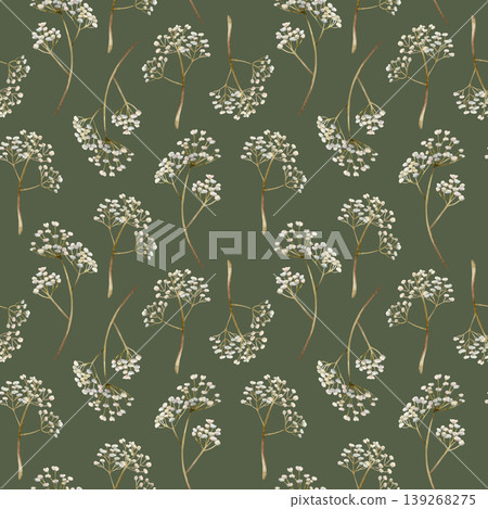 Gypsophila flowers Seamless Pattern. Baby's breath Watercolor hand drawn floral illustration isolated on green background for Easter holiday spring design home textile fresh fabric print crockery Gypsophila flowers Seamless Pattern. Baby's breath Watercolor hand drawn floral illustration isolated on green background for Easter holiday spring design home textile fresh fabric print crockery 139268275