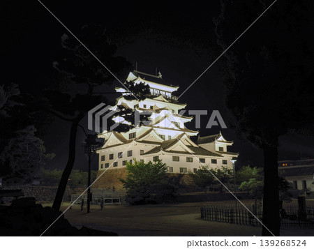 福山城的夜景 139268524