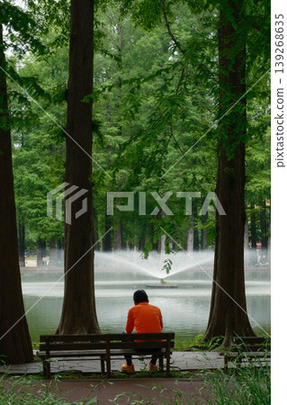新鮮的綠色Besshonuma公園 新鮮的綠色Besshonuma公園 139268635