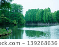 新鮮的綠色Besshonuma公園 139268636