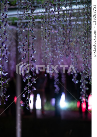 Okazaki Castle: Light-up and night view during the 50,000-koku Wisteria Festival 139268752