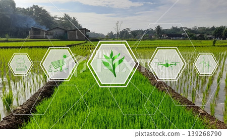 Icons of smart farming and agriculture technology overlaid on lush green rice field, symbolizing eco innovation, data-driven farming, and sustainable agriculture. Esg concept 139268790