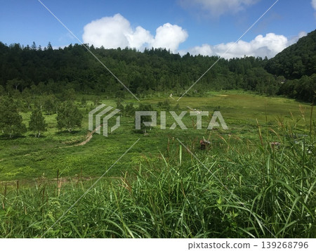 夏天,在長野縣南二瓶濕地的木棧道散步。 夏天,在長野縣南二瓶濕地的木棧道散步。 139268796