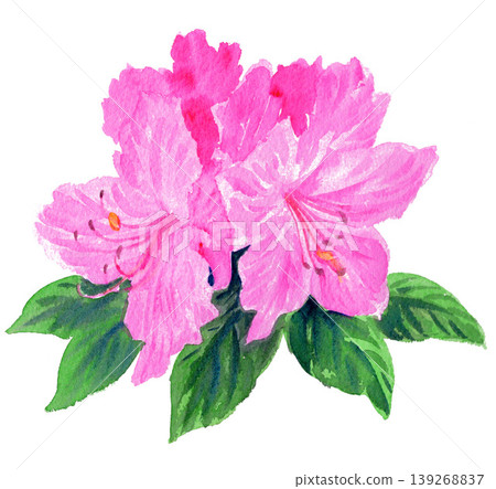 Rhododendron painted in watercolor (26429 pixels, 7 pixels) Rhododendron painted in watercolor (26429 pixels, 7 pixels) 139268837