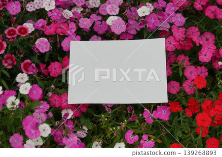 Carnations and white paper Carnations and white paper 139268893