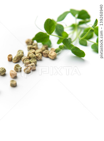 Pea seeds germinating with fresh green sprouts Pea seeds germinating with fresh green sprouts 139268940