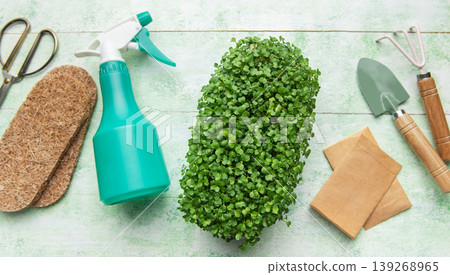 Microgreens growing kit with gardening tools 139268965