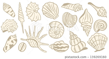 Beige seashells and mollusks hand drawn collection 139269160