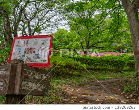 東山公園(神奈川縣二宮町)的健行步道指示牌和杜鵑花景 東山公園(神奈川縣二宮町)的健行步道指示牌和杜鵑花景 139269262