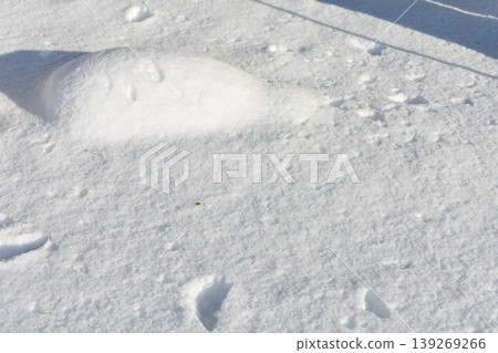 Footprints in fresh snow (background material) Footprints in fresh snow (background material) 139269266