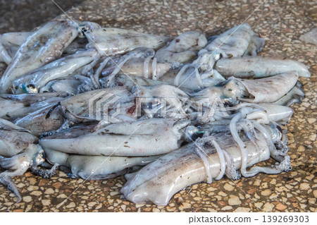 Raw fresh squids for sale in the fish market 139269303