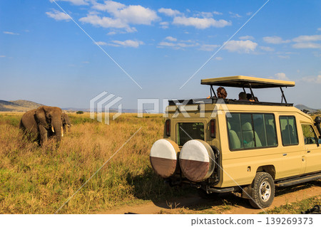 Tourists in SUV car watching and taking photos of african elephants in Serengeti national park, Tanzania. African safari Tourists in SUV car watching and taking photos of african elephants in Serengeti national park, Tanzania. African safari 139269373