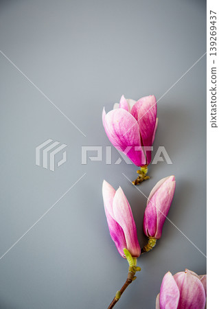 Romantic spring flowers arrangement with magnolia and clean space 139269437