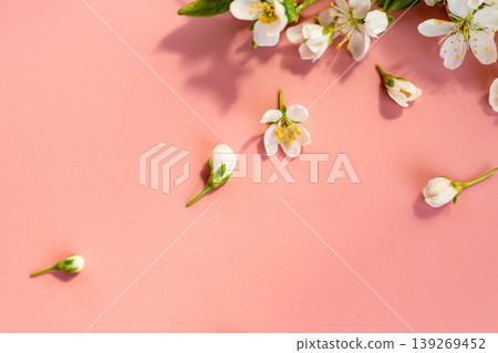 airy spring flowers composition with white blossoms on pink 139269452