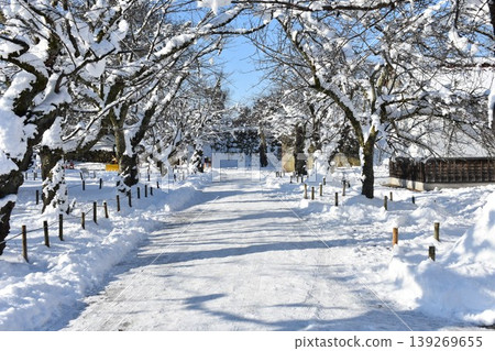 Snow-covered garden paths and winter scenery Snow-covered garden paths and winter scenery 139269655