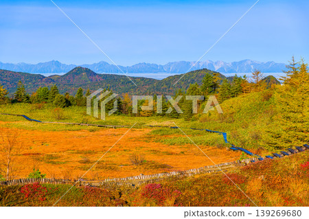 草津白根山的秋天：弓池池邊草地上色彩繽紛的秋葉，以及雲海之外北阿爾卑斯山的壯麗全景。 139269680