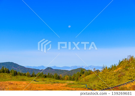 草津白根山的秋天：弓池池邊草地上色彩繽紛的秋葉，以及雲海之外北阿爾卑斯山的壯麗全景。 139269681