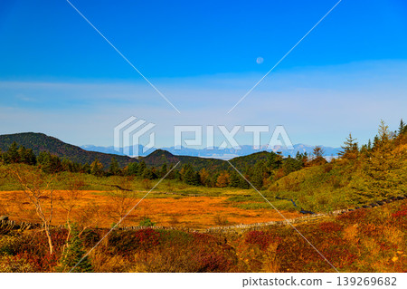 草津白根山的秋天：弓池池邊草地上色彩繽紛的秋葉，以及雲海之外北阿爾卑斯山的壯麗全景。 139269682