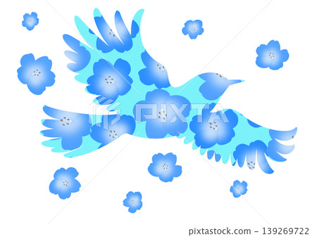 Illustrations featuring nemophila flowers Illustrations featuring nemophila flowers 139269722