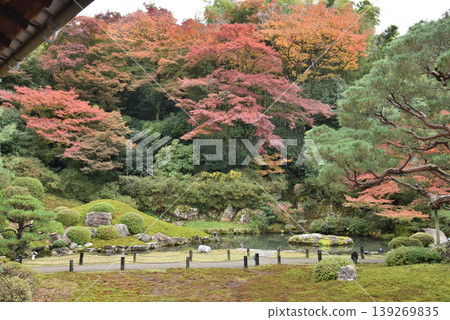 Shoren-in Temple in autumn: Soami's garden (Higashiyama Ward, Kyoto City) Shoren-in Temple in autumn: Soami's garden (Higashiyama Ward, Kyoto City) 139269835