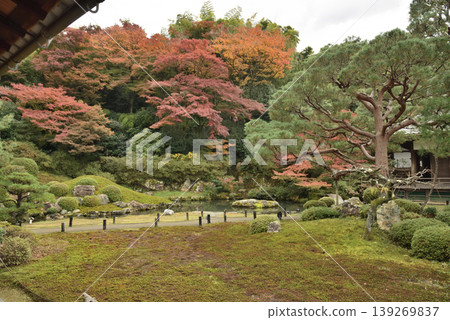 Shoren-in Temple in autumn: Soami's garden (Higashiyama Ward, Kyoto City) 139269837