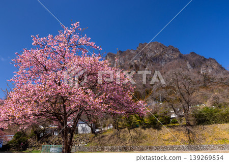 群馬縣富岡市妙義町竹道之驛妙義：妙義山景色，河津櫻花盛開，藍天白雲。 139269854