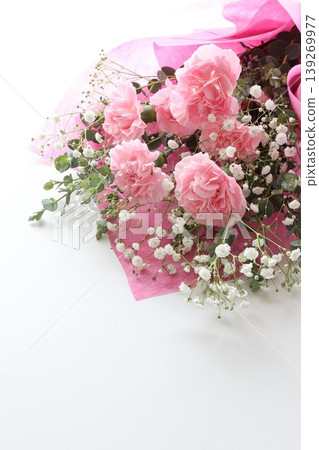 Carnation Carnation 139269977