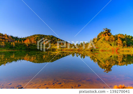 The vibrant autumn leaves reflected on the surface of Yumi Pond: A beautiful mirror image of the Shiga-Kusatsu Plateau Route. The vibrant autumn leaves reflected on the surface of Yumi Pond: A beautiful mirror image of the Shiga-Kusatsu Plateau Route. 139270041